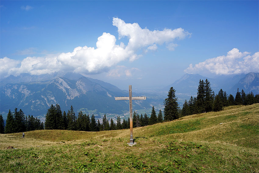 alpwald5